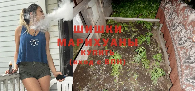 Шишки марихуана OG Kush  Дагестанские Огни 